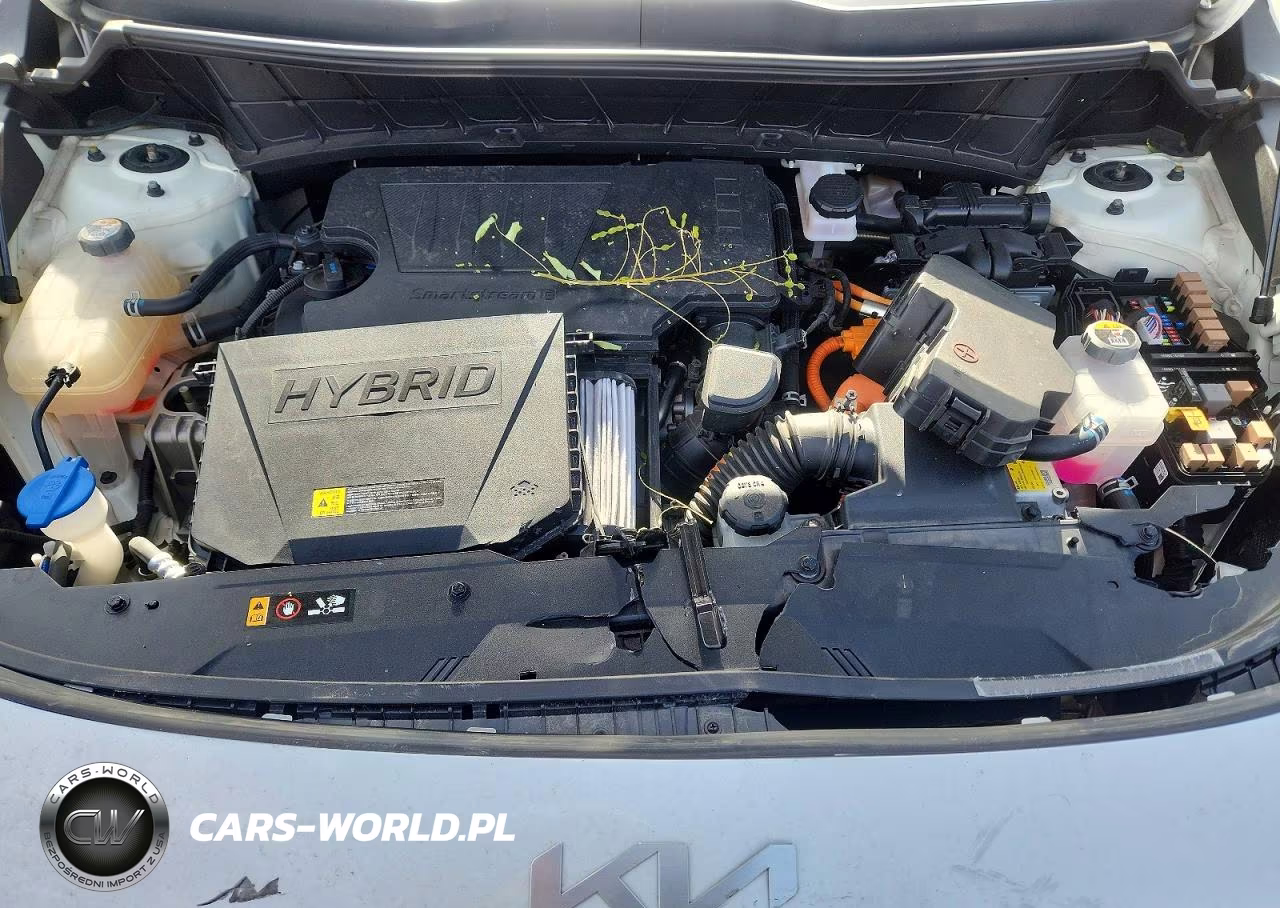 2023 Kia Niro Ex VIN:KNDCR3LEXP5046654 - 12