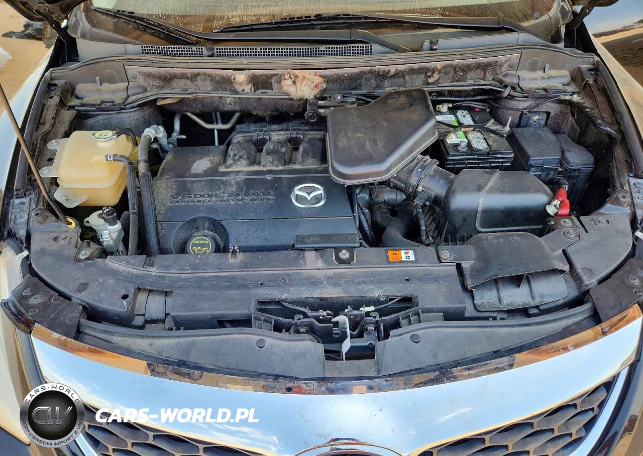 2011 Mazda Cx-9 VIN:JM3TB2DA0B0306406 - 12