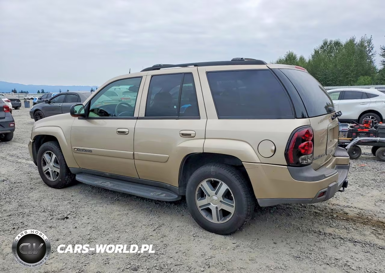 2004 Chevrolet Trailblazer Ls VIN:1GNDT13S942182939 - 2
