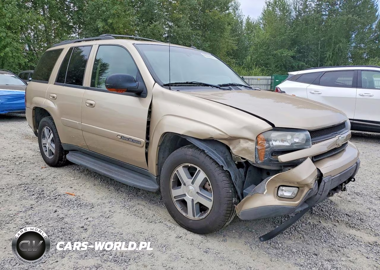 2004 Chevrolet Trailblazer Ls VIN:1GNDT13S942182939 - 4