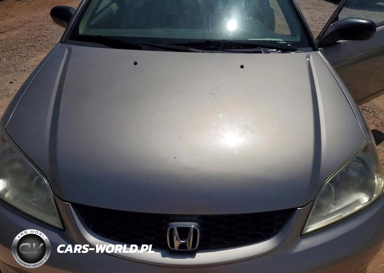 2004 Honda Civic Lx VIN:1HGEM22524L067803 - 11