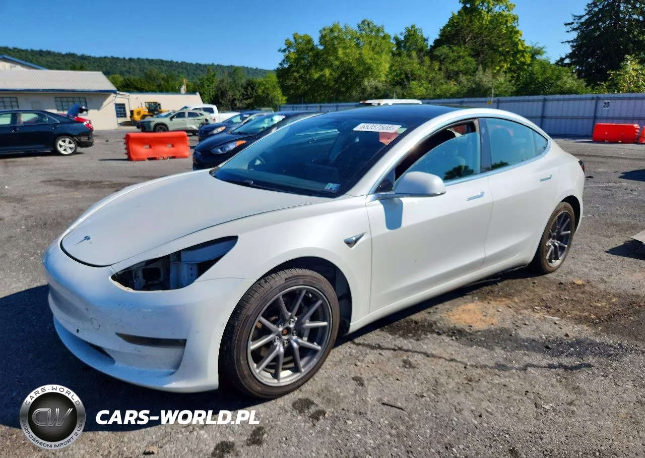 2020 Tesla Model 3 VIN:5YJ3E1EB5LF665075 - 1