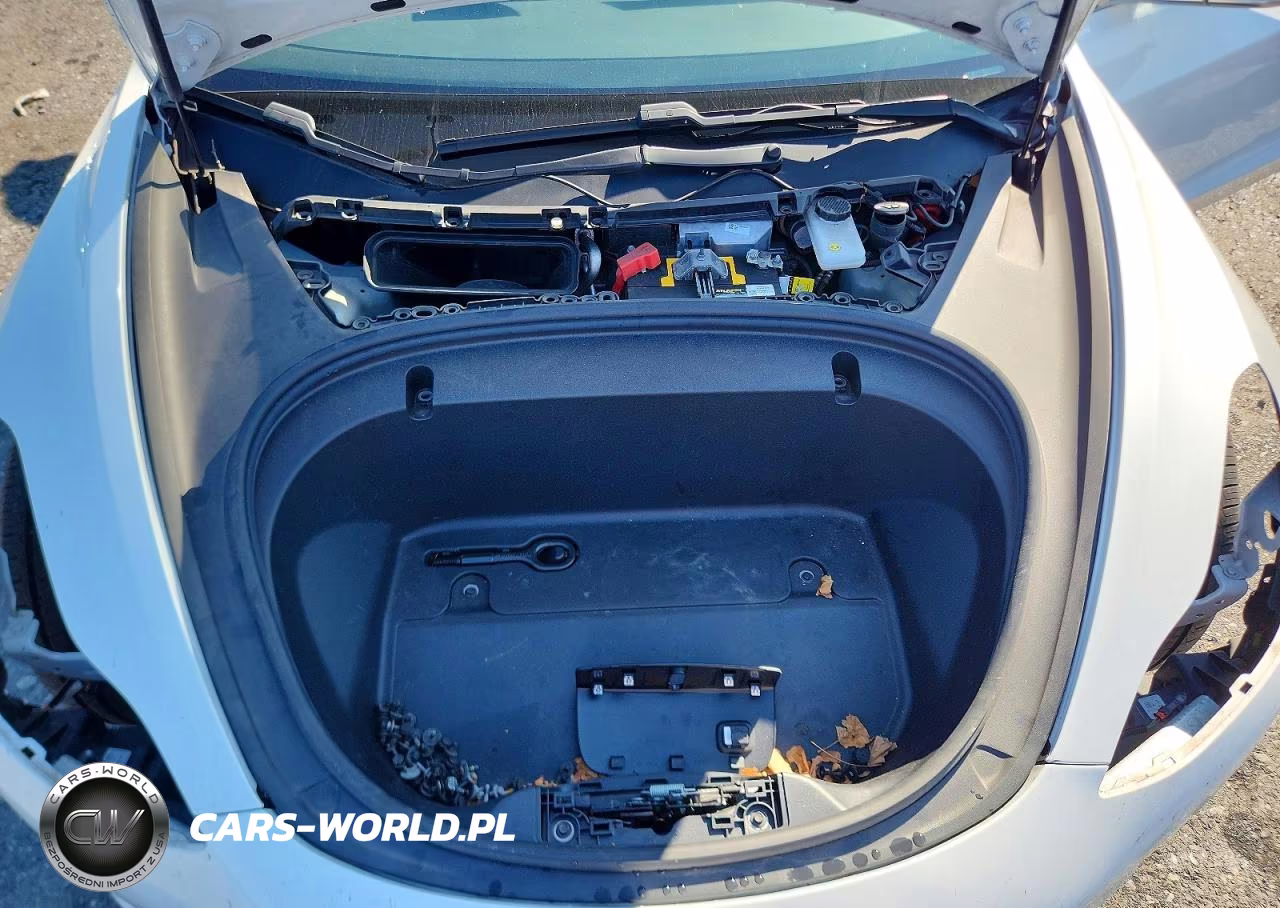 2020 Tesla Model 3 VIN:5YJ3E1EB5LF665075 - 11