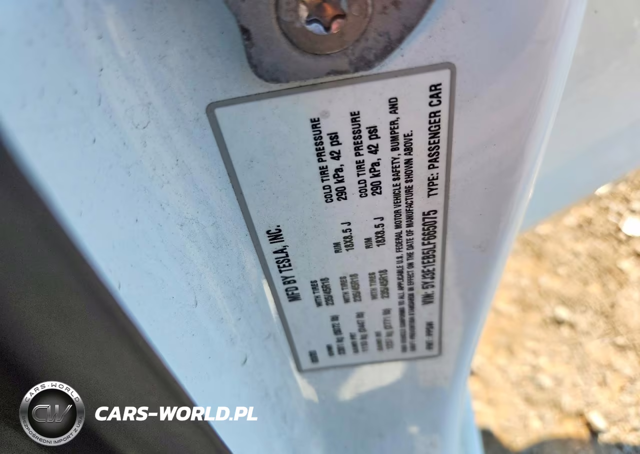 2020 Tesla Model 3 VIN:5YJ3E1EB5LF665075 - 12