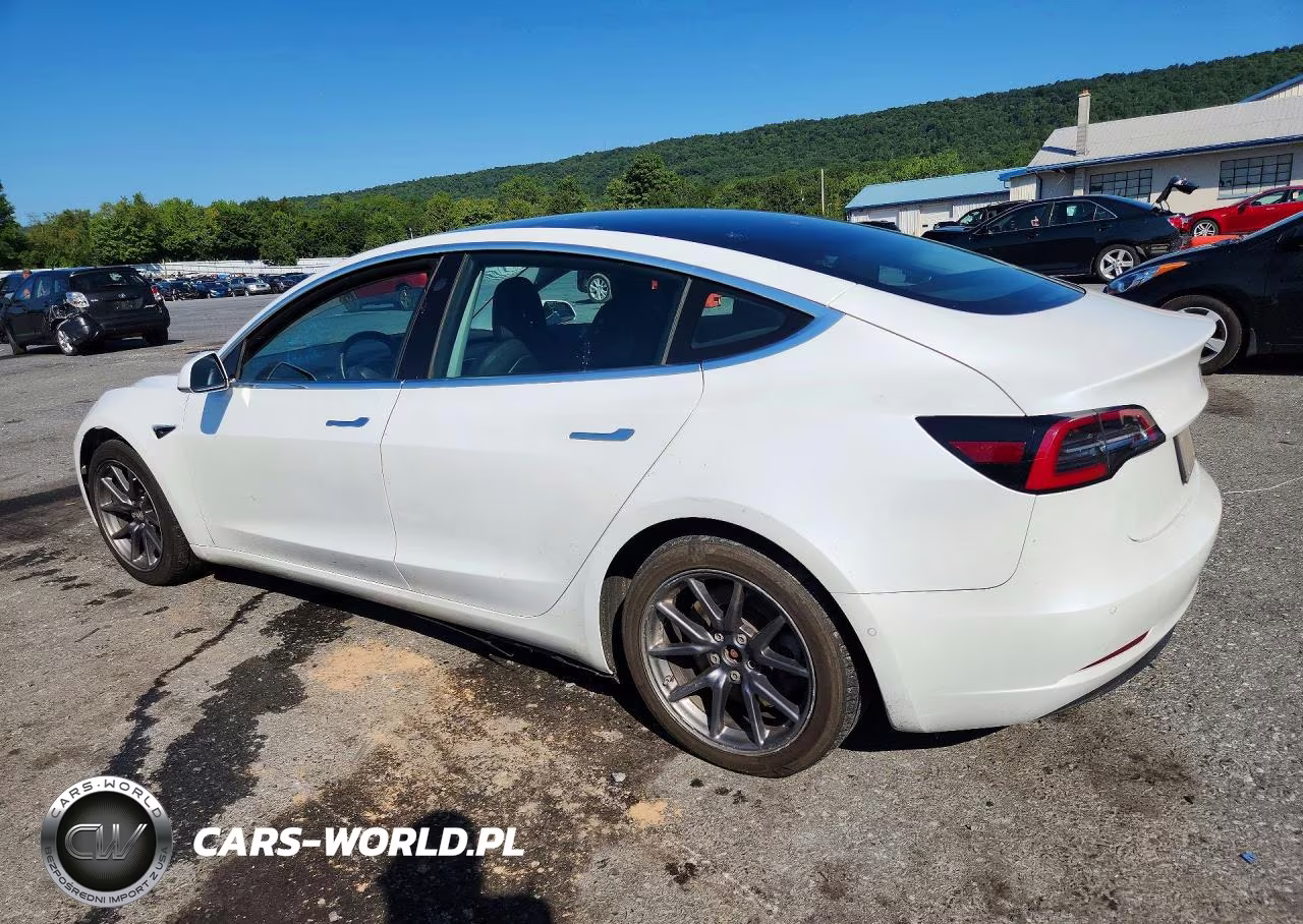 2020 Tesla Model 3 VIN:5YJ3E1EB5LF665075 - 2