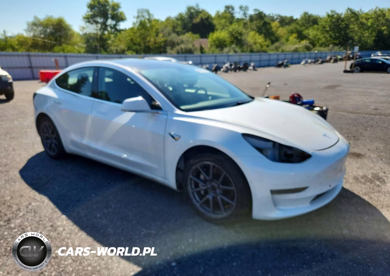 2020 Tesla Model 3 VIN:5YJ3E1EB5LF665075 - 4