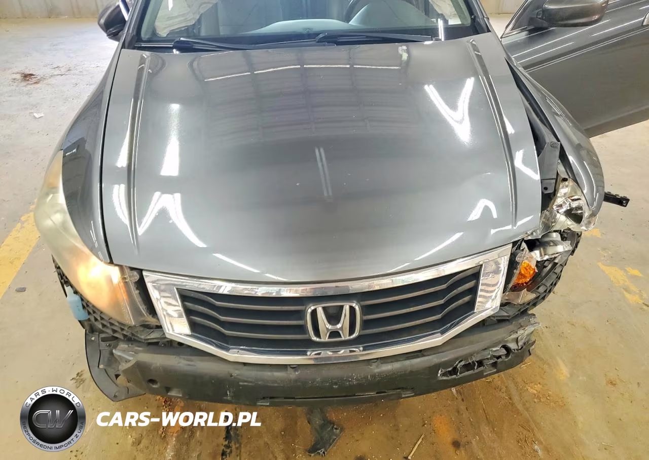 2010 Honda Accord Exl VIN:1HGCP2F85AA178128 - 11