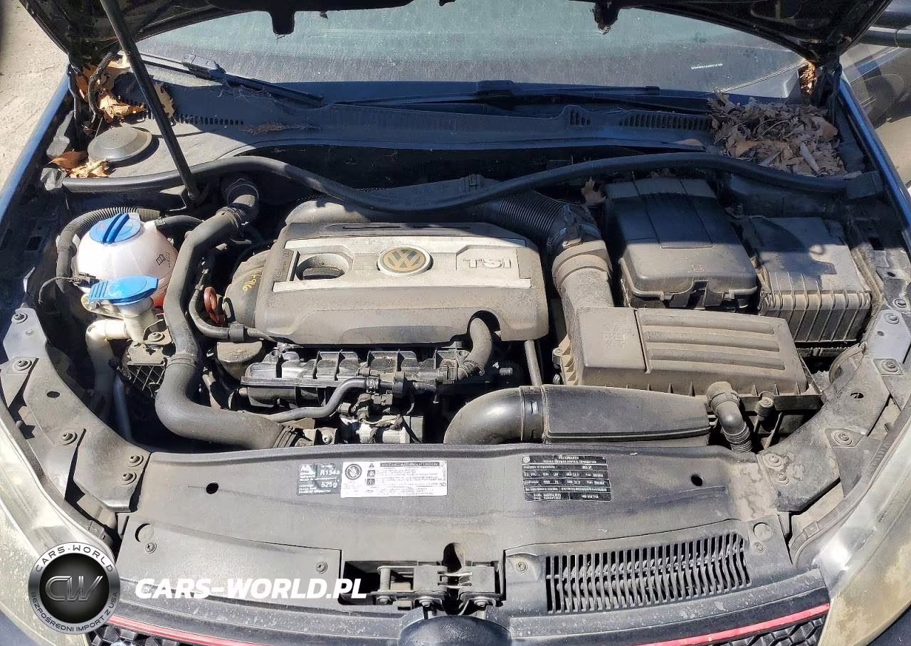 2010 Volkswagen Gti VIN:WVWGD9AJ4AW218780 - 11