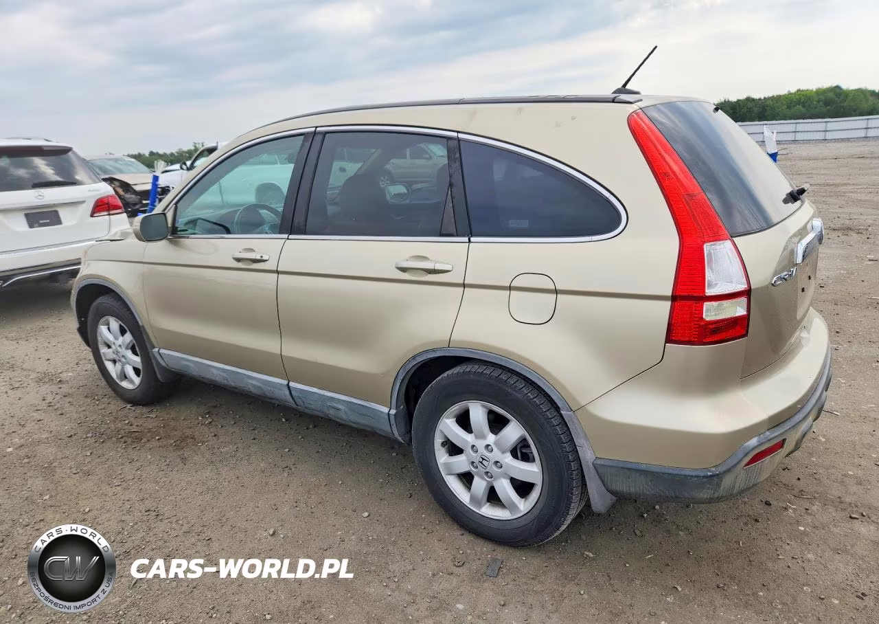 2009 Honda Cr-V Exl VIN:5J6RE38729L033325 - 2