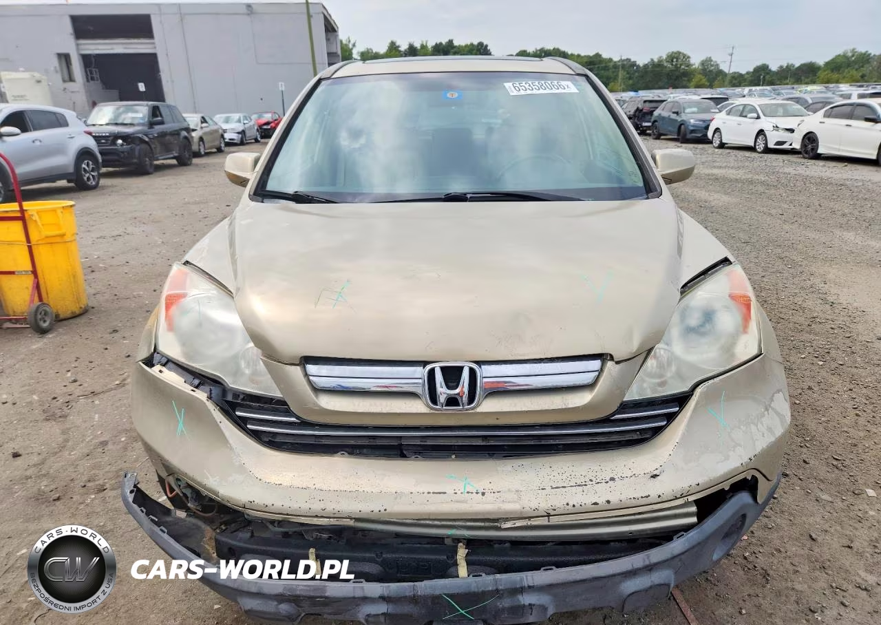 2009 Honda Cr-V Exl VIN:5J6RE38729L033325 - 5