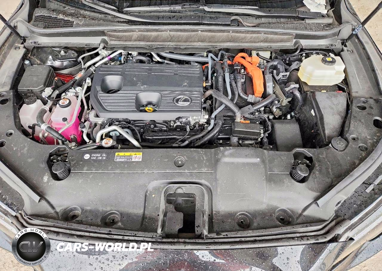 2026 Lexus Rx 450H+ Premium VIN:JTJCJMGA8T2038906 - 13