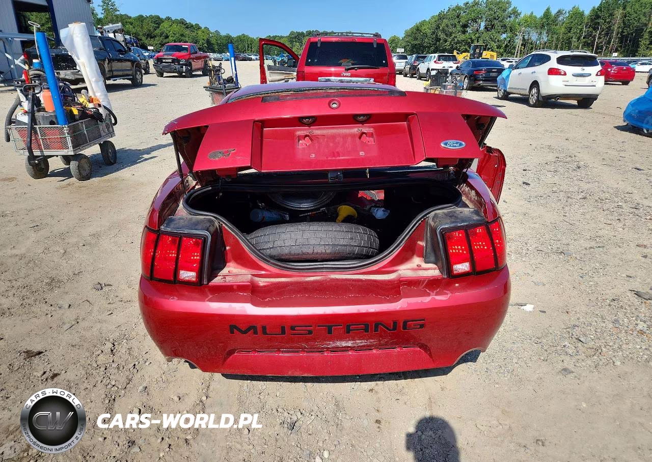 2003 Ford Mustang Gt VIN:1FAFP42X93F435078 - 6