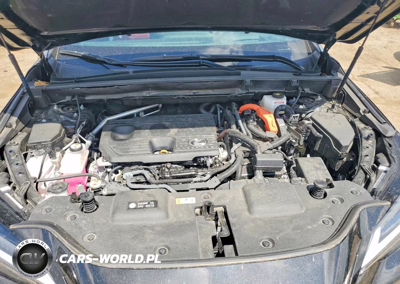 2025 Lexus Nx 350H Luxury VIN:2T2HKCEZ4SC053682 - 12