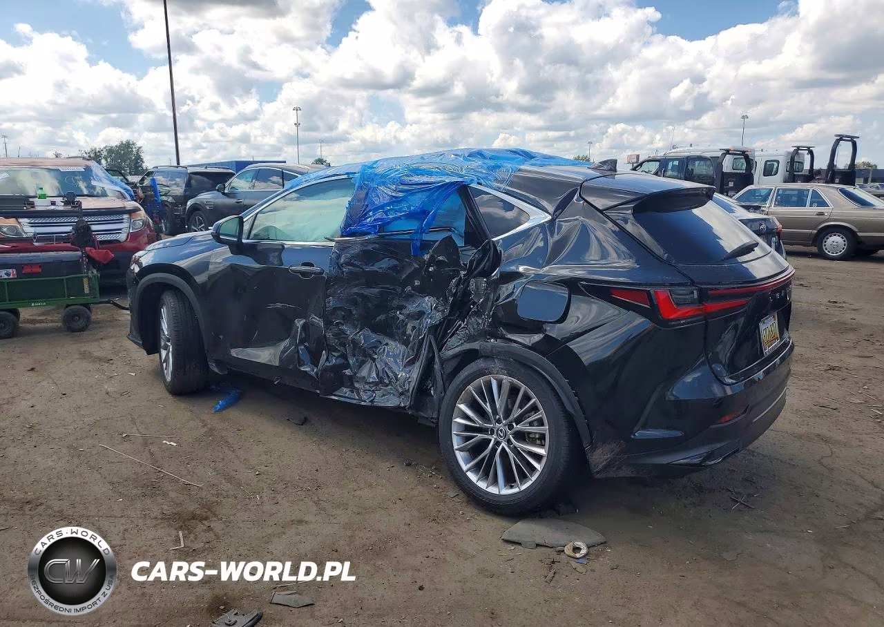 2025 Lexus Nx 350H Luxury VIN:2T2HKCEZ4SC053682 - 2