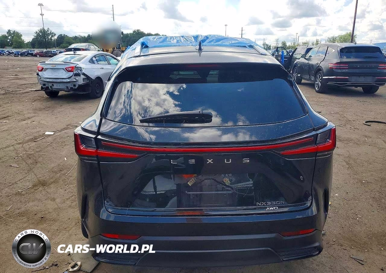 2025 Lexus Nx 350H Luxury VIN:2T2HKCEZ4SC053682 - 6