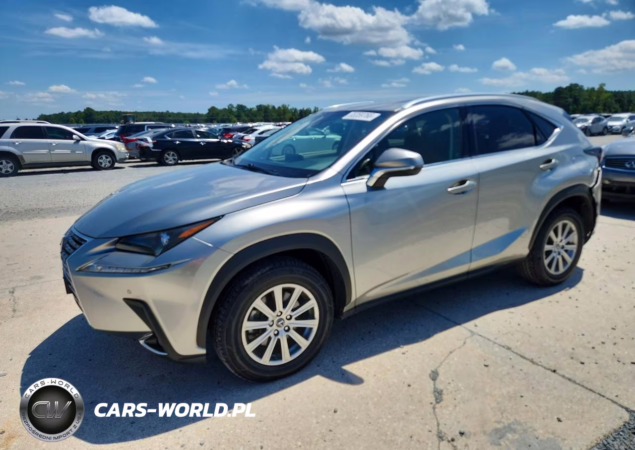 2019 Lexus Nx 300 Base VIN:JTJYARBZ1K2155743 - 1