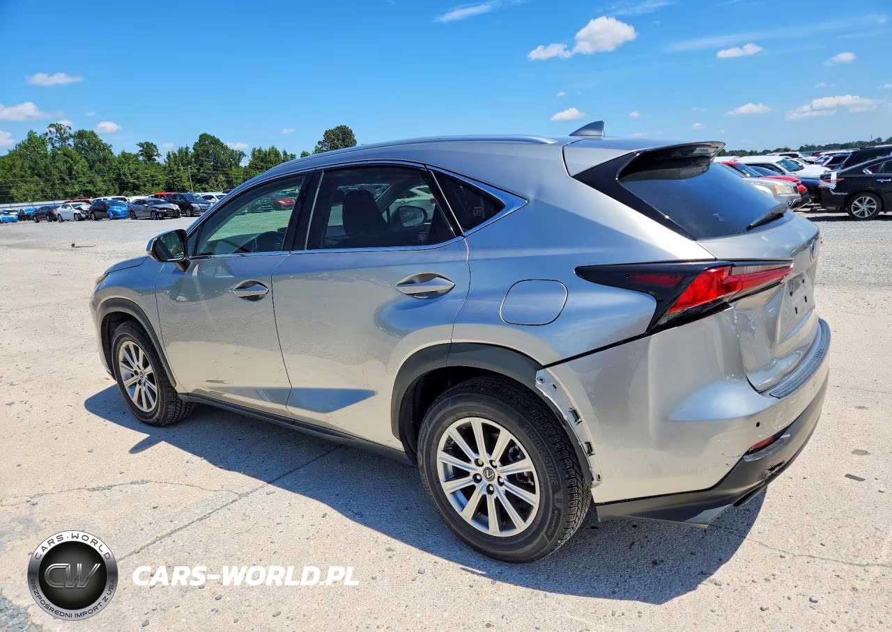 2019 Lexus Nx 300 Base VIN:JTJYARBZ1K2155743 - 2