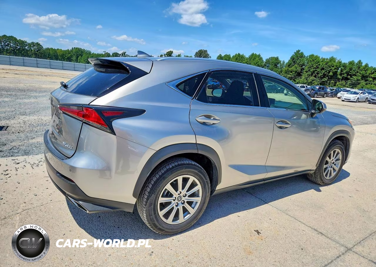 2019 Lexus Nx 300 Base VIN:JTJYARBZ1K2155743 - 3