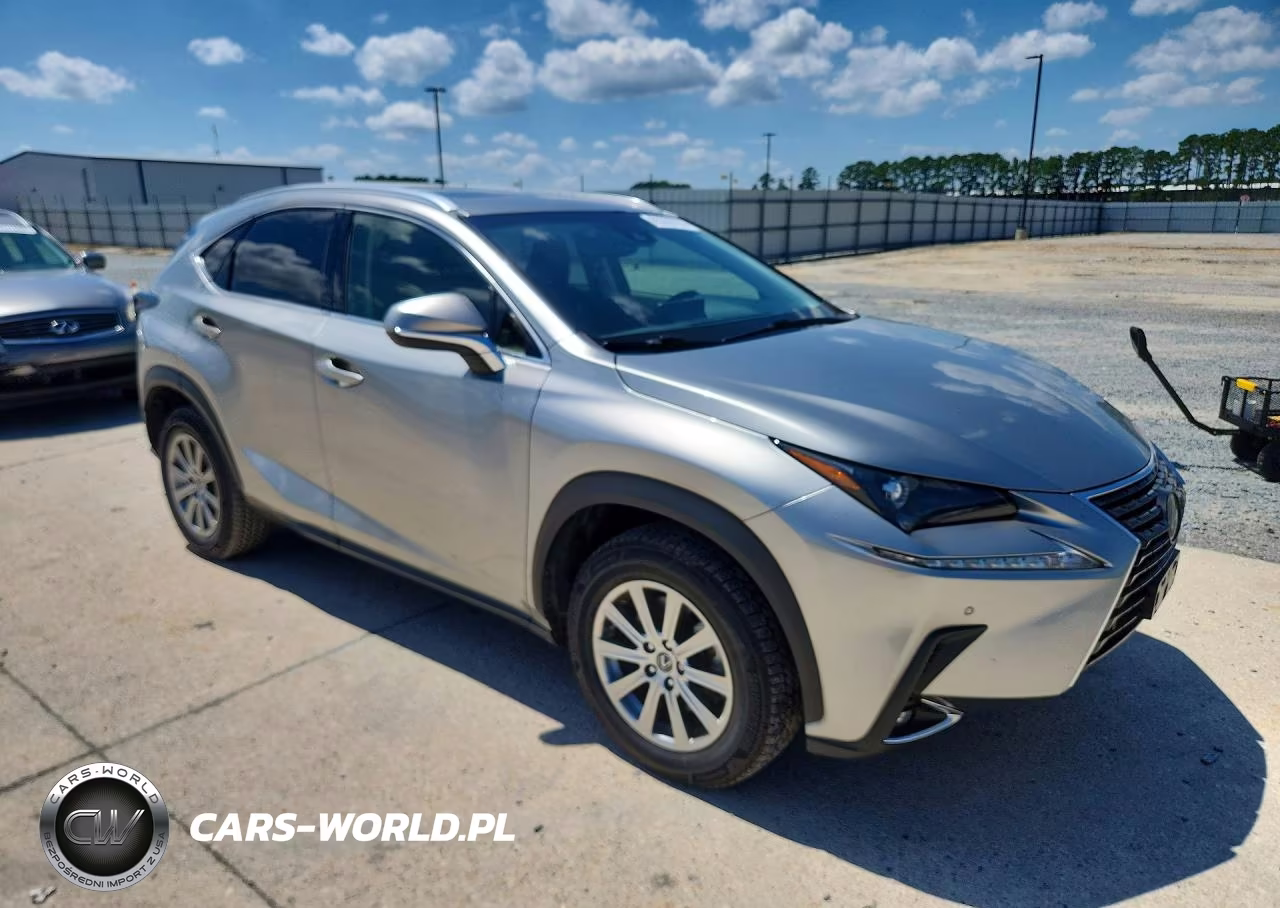 2019 Lexus Nx 300 Base VIN:JTJYARBZ1K2155743 - 4