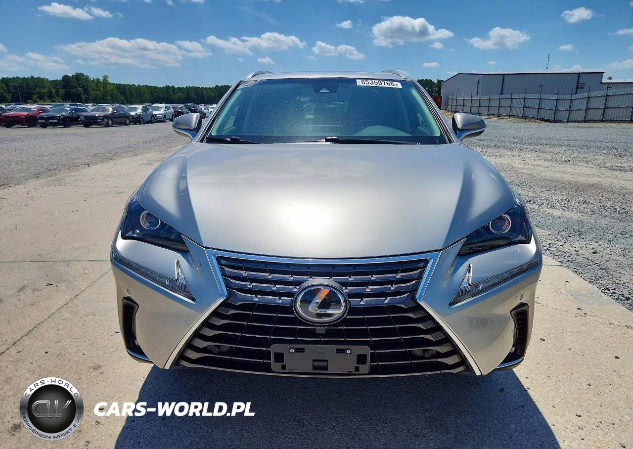 2019 Lexus Nx 300 Base VIN:JTJYARBZ1K2155743 - 5