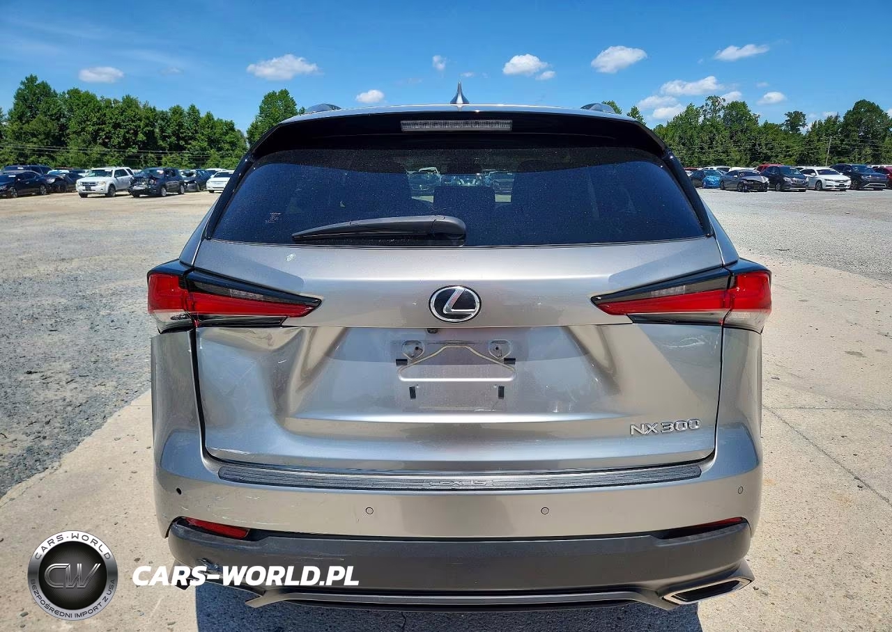 2019 Lexus Nx 300 Base VIN:JTJYARBZ1K2155743 - 6