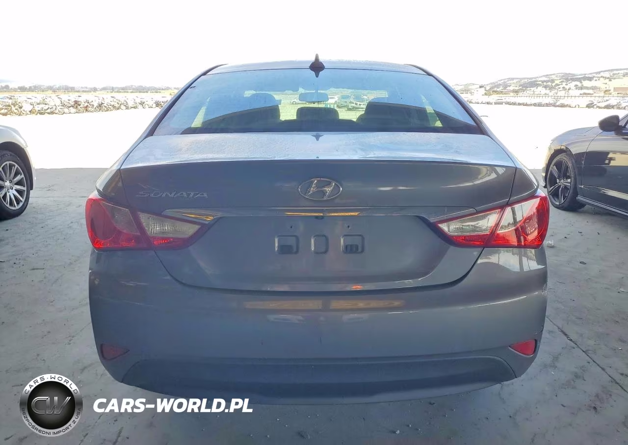 2014 Hyundai Sonata Gls VIN:5NPEB4AC6EH838317 - 6