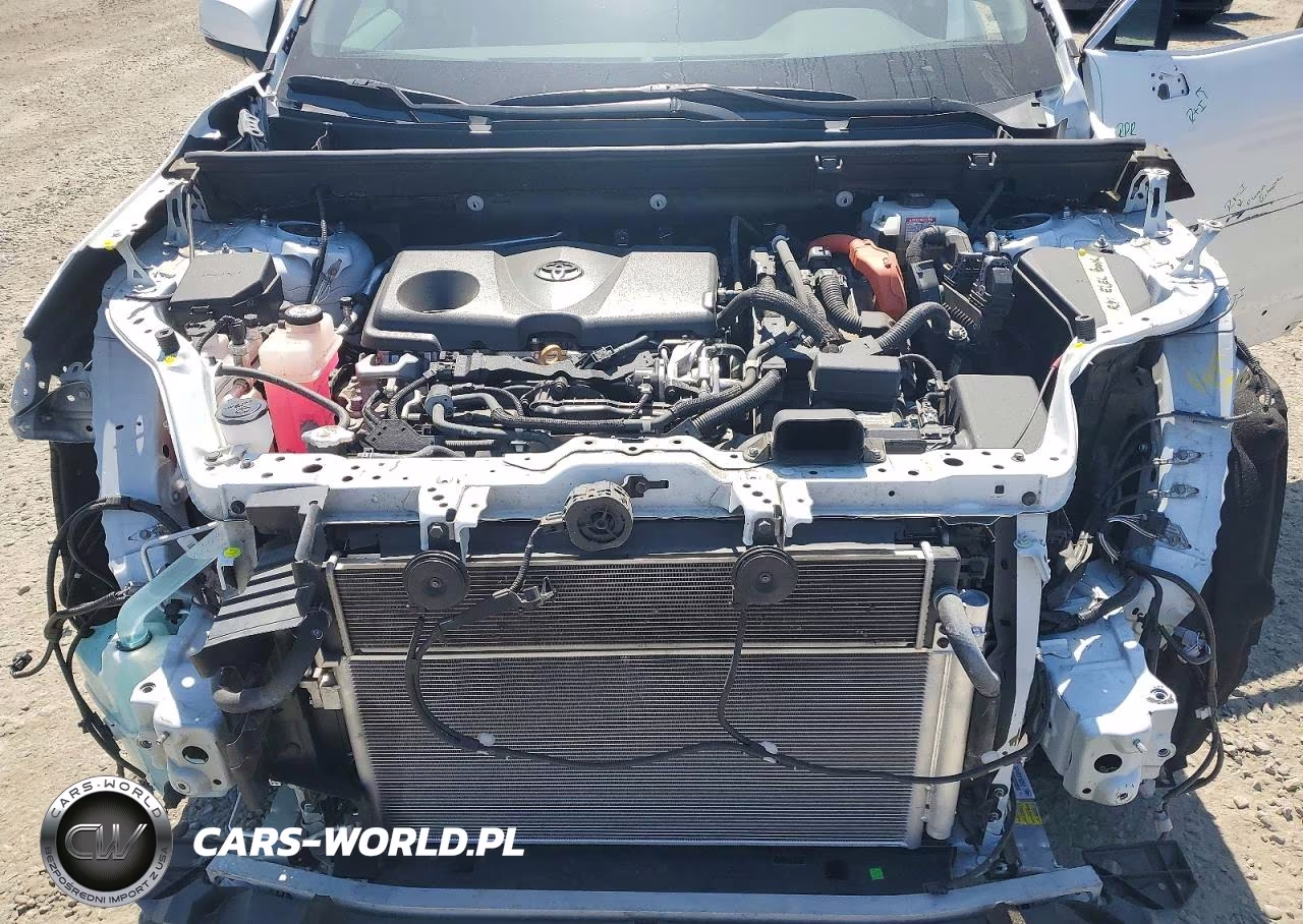 2019 Toyota Rav4 Hybrid Xle VIN:2T3RWRFV5KW013080 - 12
