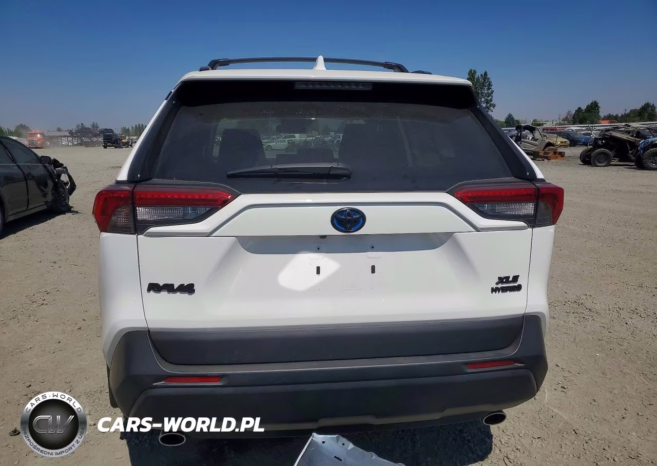 2019 Toyota Rav4 Hybrid Xle VIN:2T3RWRFV5KW013080 - 6