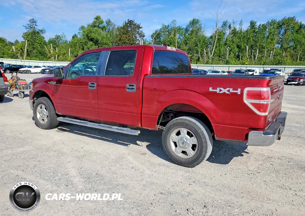 2013 Ford F150 Supercrew VIN:1FTFW1EF9DFA46117 - 2