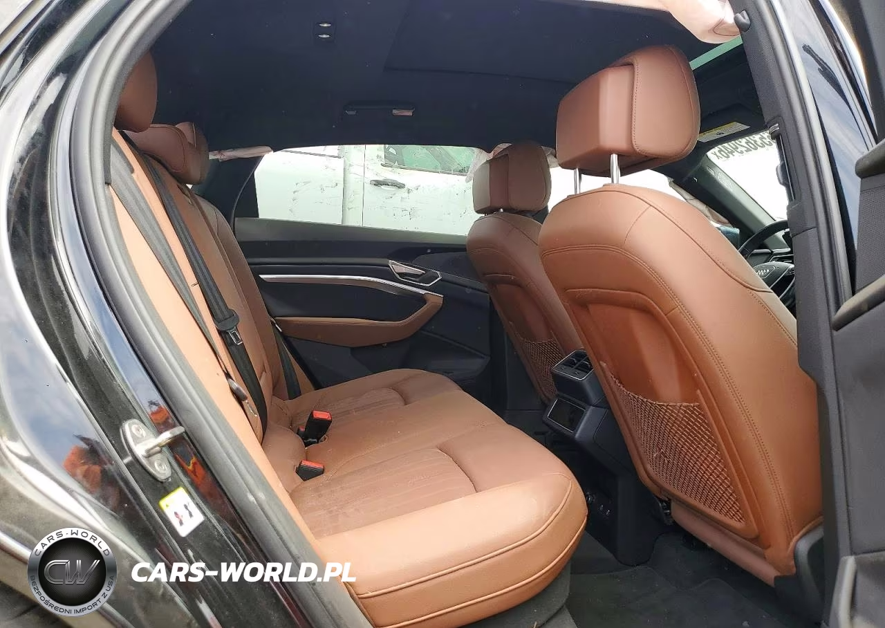 2022 Audi E-Tron Sportback Premium Plus VIN:WA12AAGE2NB037229 - 10