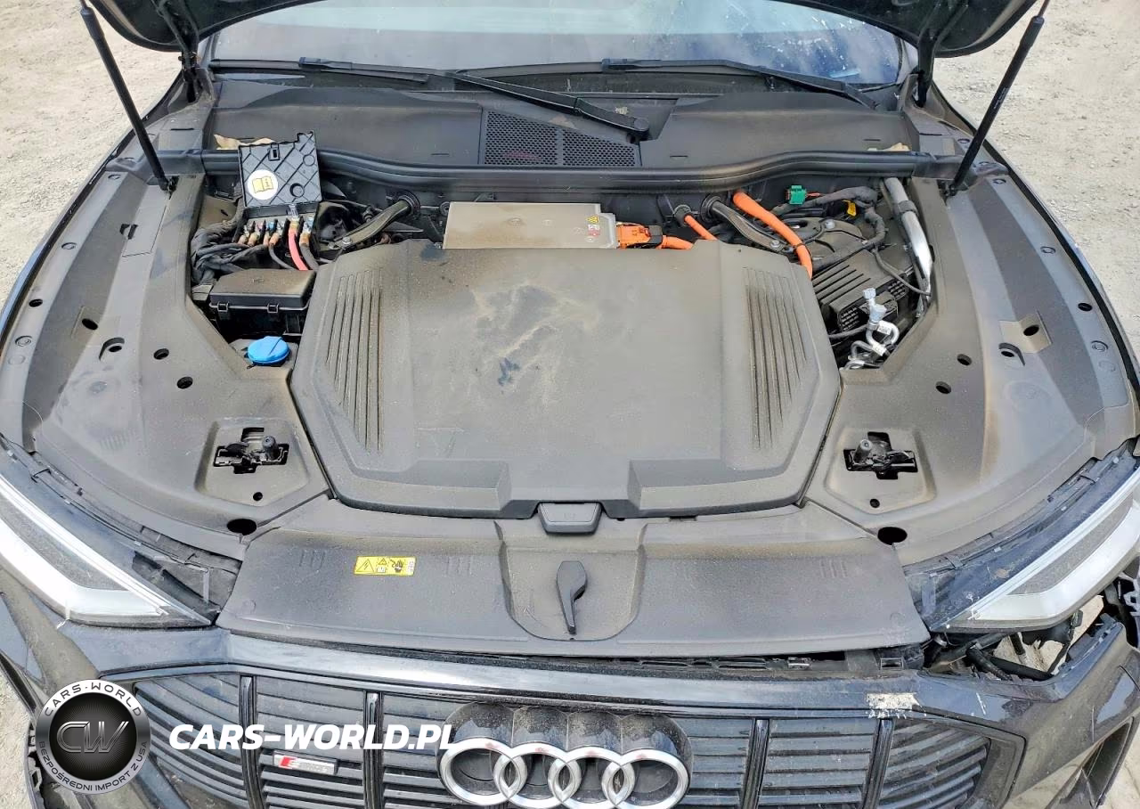 2022 Audi E-Tron Sportback Premium Plus VIN:WA12AAGE2NB037229 - 11
