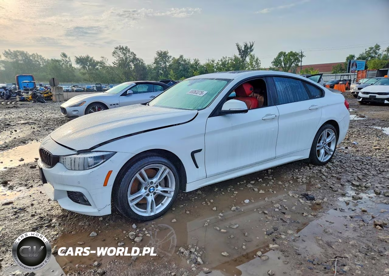 2019 BMW 430Xi Gran Coupe VIN:WBA4J3C56KBL06731 - 1