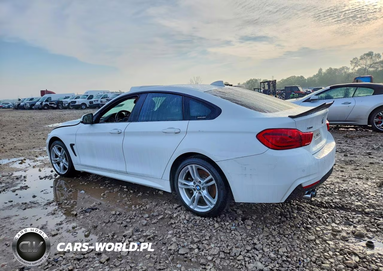2019 BMW 430Xi Gran Coupe VIN:WBA4J3C56KBL06731 - 2