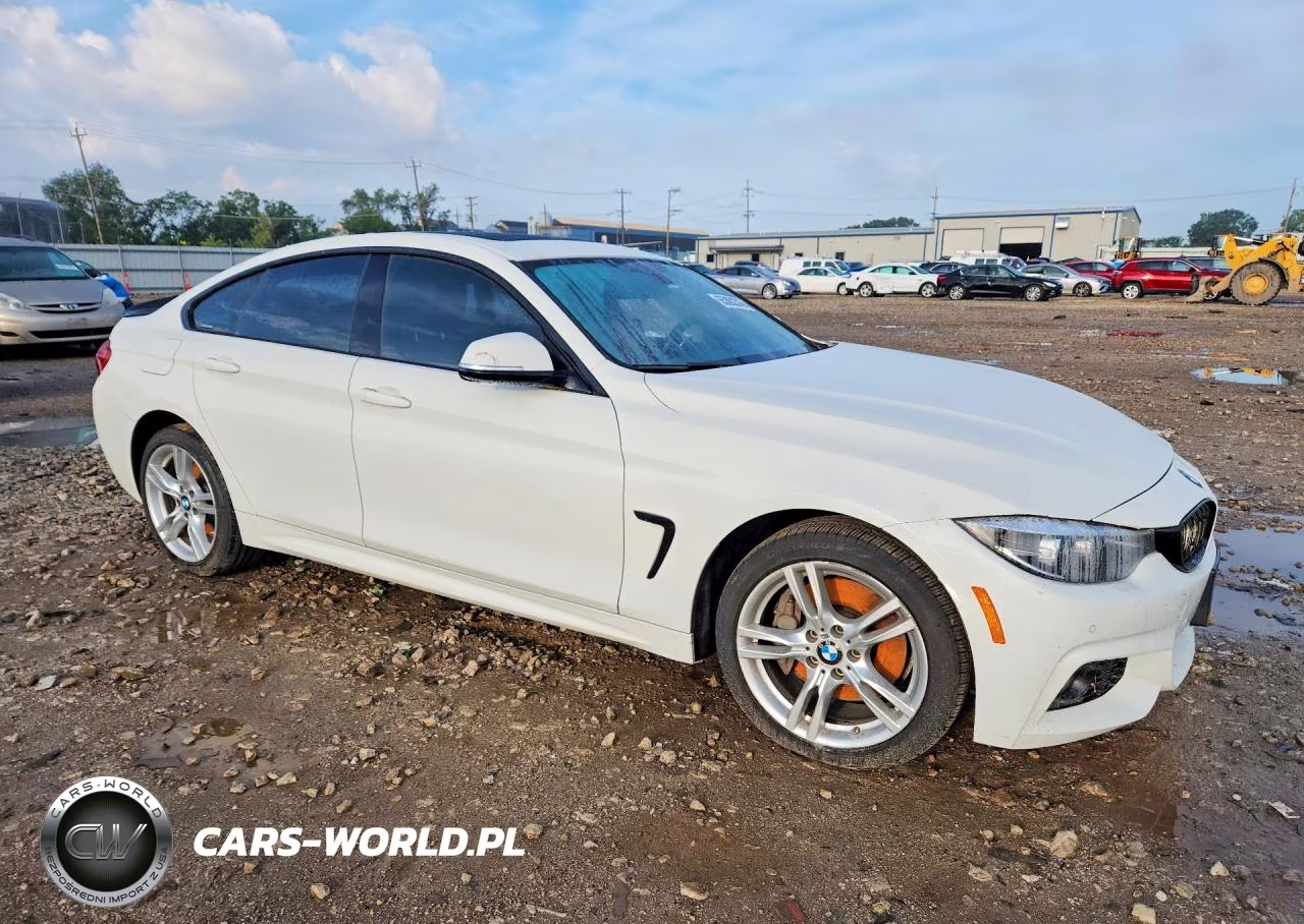 2019 BMW 430Xi Gran Coupe VIN:WBA4J3C56KBL06731 - 4