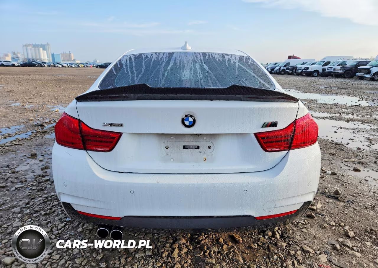 2019 BMW 430Xi Gran Coupe VIN:WBA4J3C56KBL06731 - 6