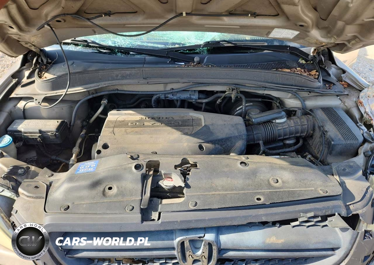 2004 Honda Pilot Exl VIN:2HKYF18624H620387 - 12