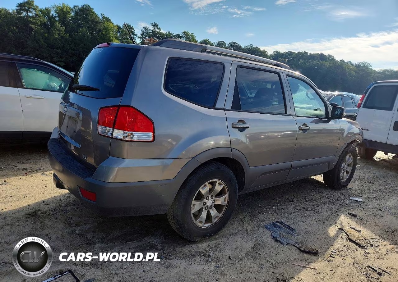 2009 Kia Borrego Lx VIN:KNDJH741095038725 - 3