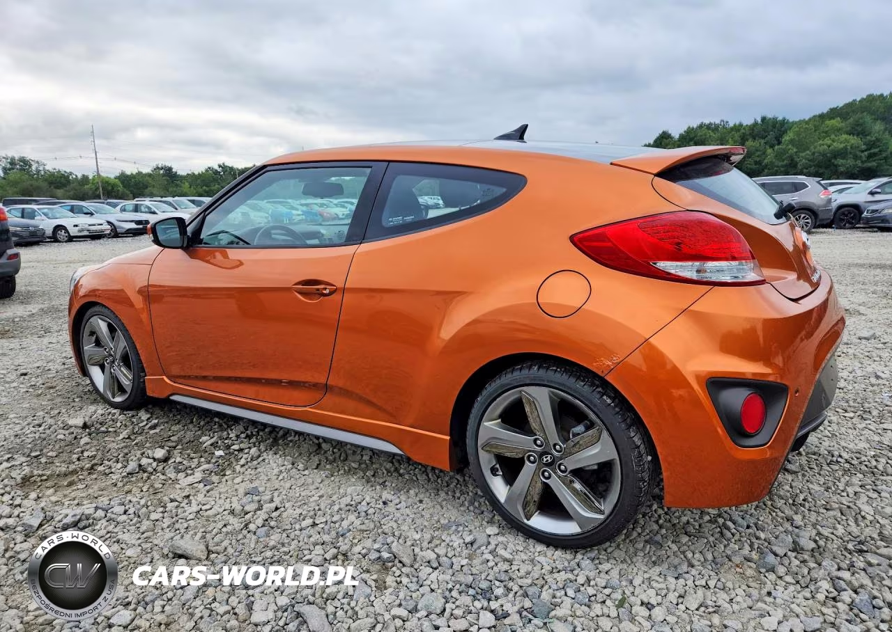 2013 Hyundai Veloster Turbo VIN:KMHTC6AE9DU169302 - 2