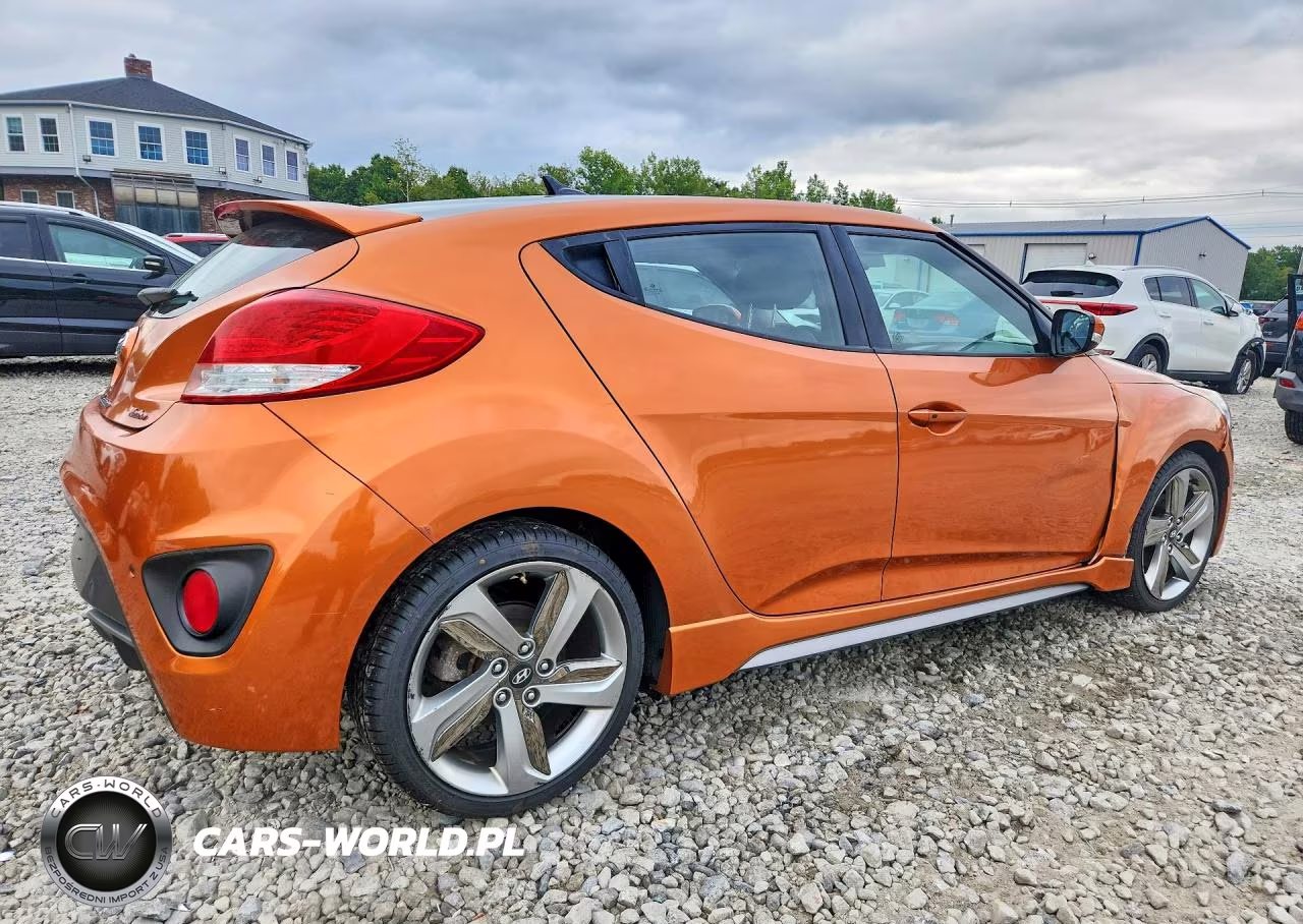 2013 Hyundai Veloster Turbo VIN:KMHTC6AE9DU169302 - 3