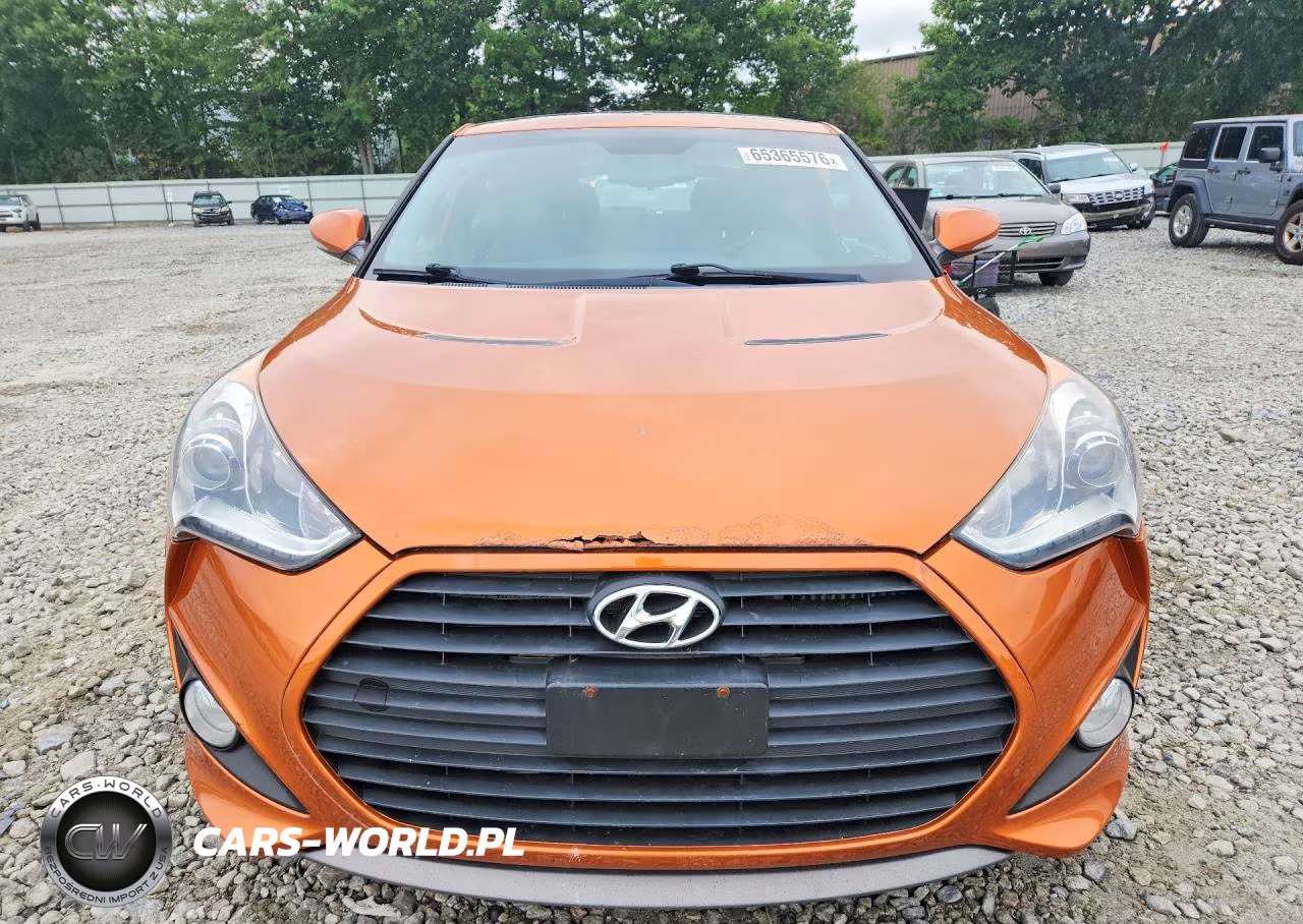 2013 Hyundai Veloster Turbo VIN:KMHTC6AE9DU169302 - 5