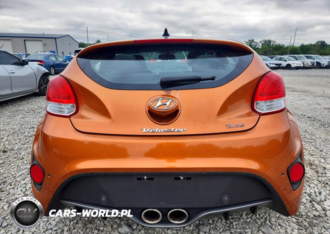 2013 Hyundai Veloster Turbo VIN:KMHTC6AE9DU169302 - 6