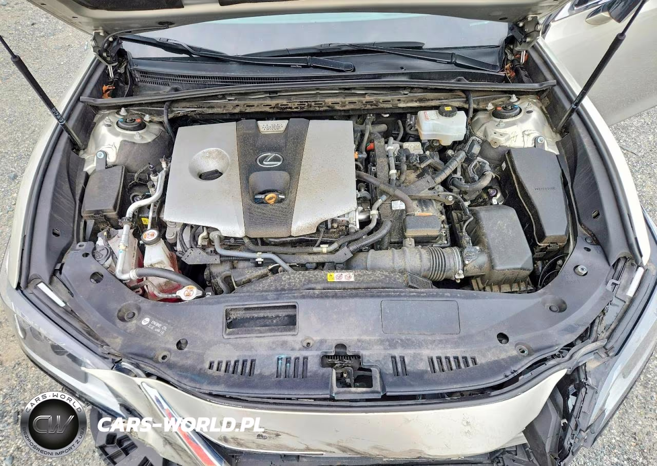 2019 Lexus Es 300H VIN:58AB21B15KU002437 - 11