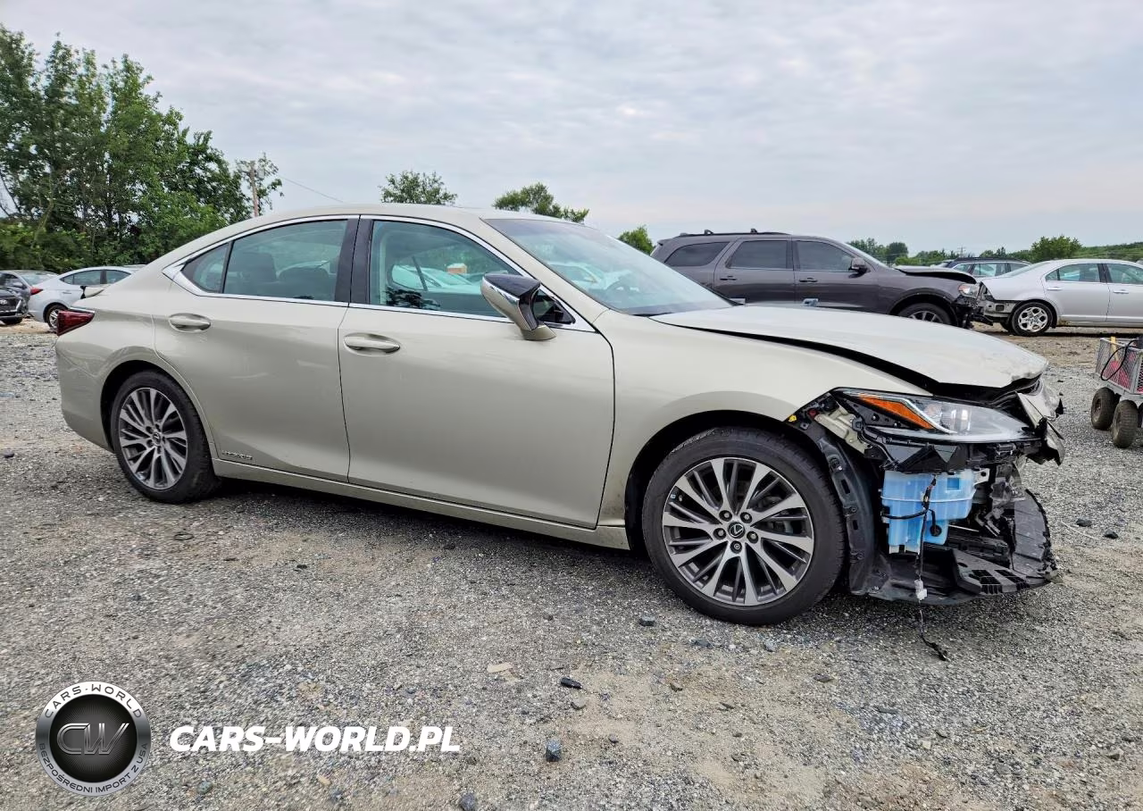 2019 Lexus Es 300H VIN:58AB21B15KU002437 - 4