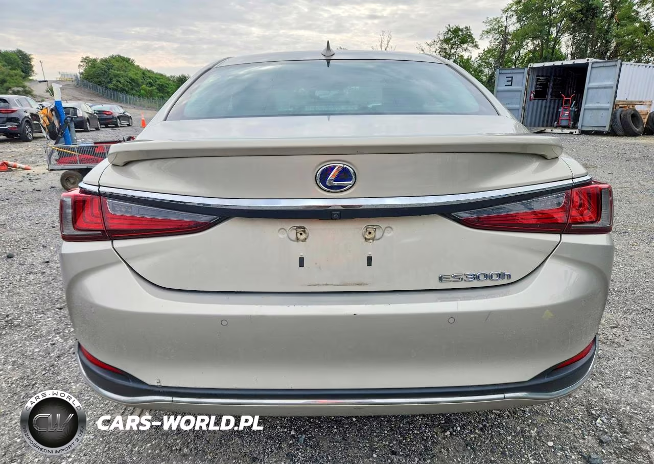 2019 Lexus Es 300H VIN:58AB21B15KU002437 - 6