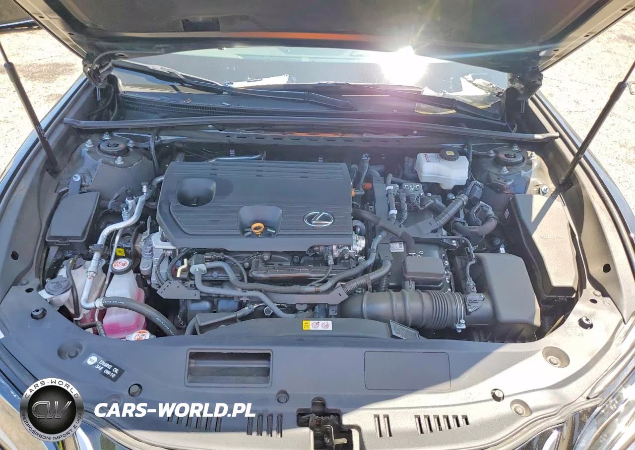 2025 Lexus Es 300H Luxury VIN:58AEA1C14SU074258 - 11