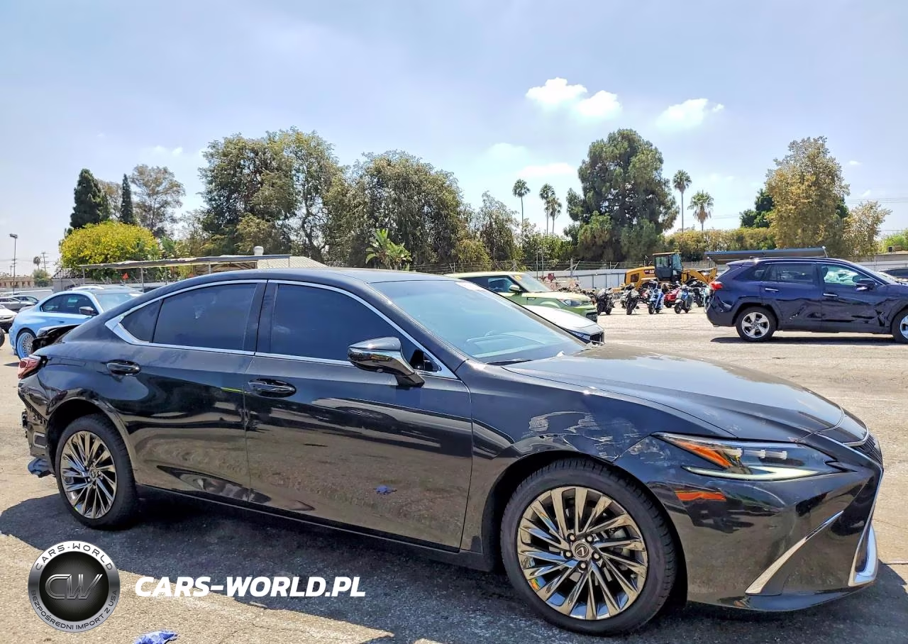 2025 Lexus Es 300H Luxury VIN:58AEA1C14SU074258 - 4