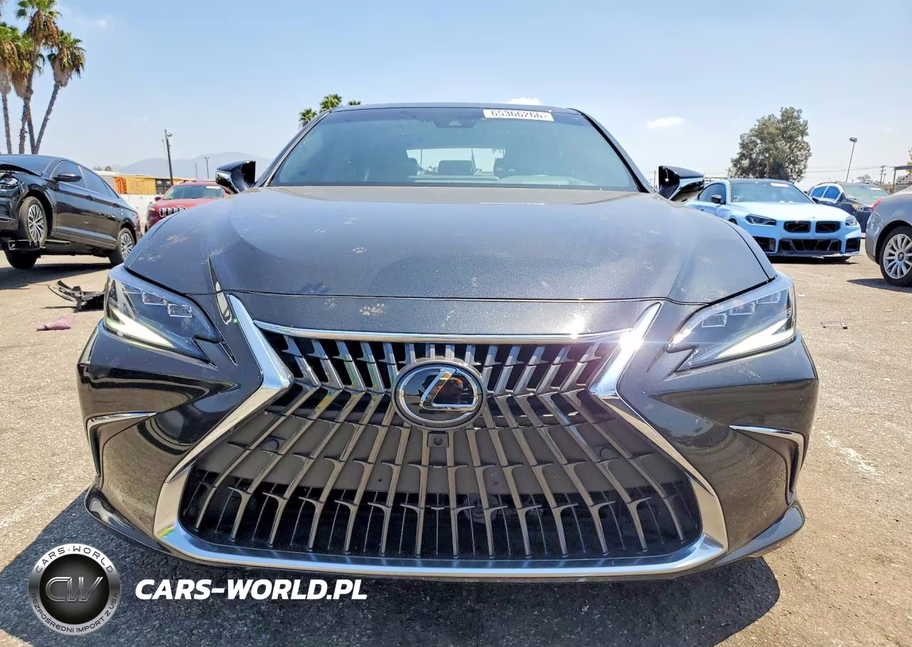 2025 Lexus Es 300H Luxury VIN:58AEA1C14SU074258 - 5