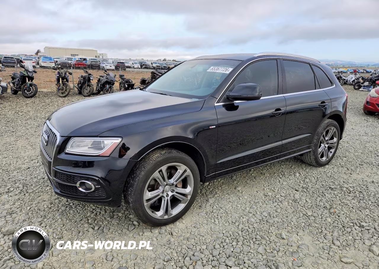 2013 Audi Q5 Premium Plus VIN:WA1DGAFP6DA040391 - 1