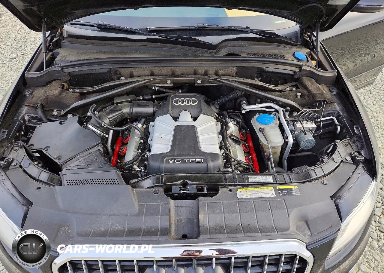 2013 Audi Q5 Premium Plus VIN:WA1DGAFP6DA040391 - 12