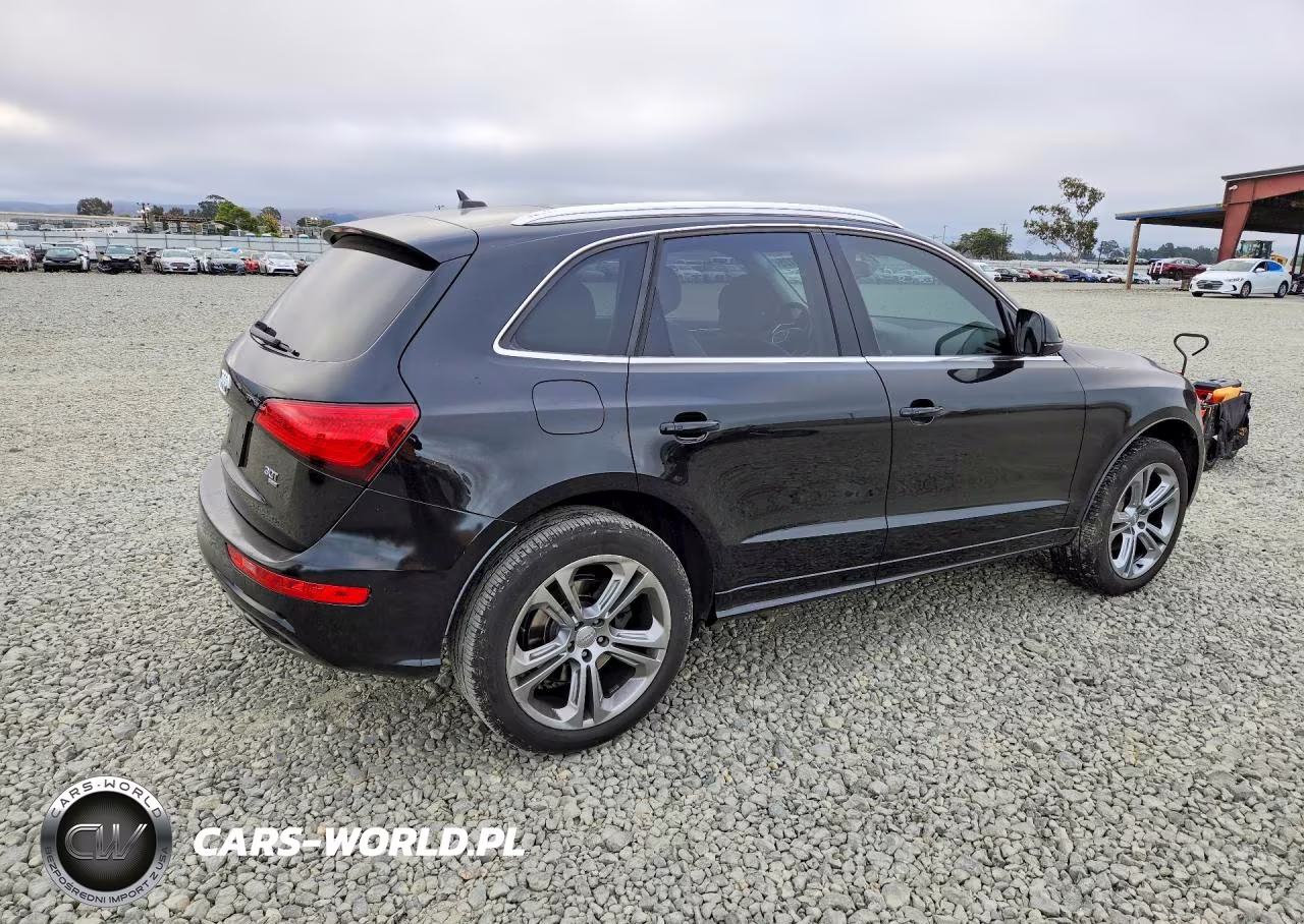 2013 Audi Q5 Premium Plus VIN:WA1DGAFP6DA040391 - 3